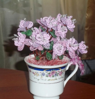 Сиреневое чудо