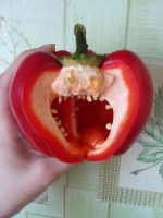 Чувак, это... Перчик!