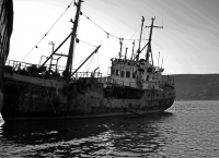 Старый морской волк