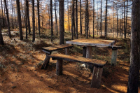 Опустели дачные скамейки...