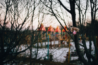 Одинокая игрушка