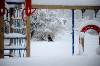 Одиноко, хочется повыть...