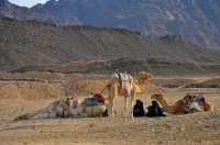 посидим поговорим....