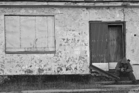 когда один в поле воин.....