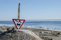 Инопланетяне ? )