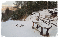 Приют одинокой души...