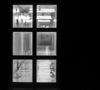 Из жизни коридоров