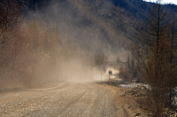 пыльный демон)