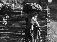 Клетчатый:)