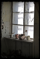 а он до конца тянулся к свету