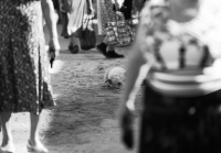 Не забудем в суете!