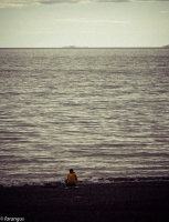 На берегу одиночества