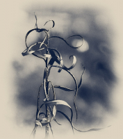 Нас время точит безутешно...