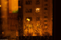 Узоры уходящей осени