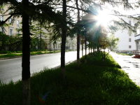 без коментариев