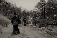 после снега...