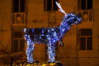 ночной олень )