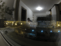 Ночная движуха