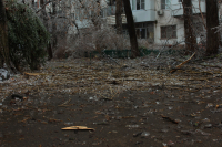 Ледниковый период 1.