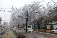 Ледниковый период 5.