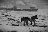 Мы здесь были)