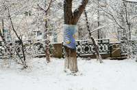 в сквере  вязаных граффити