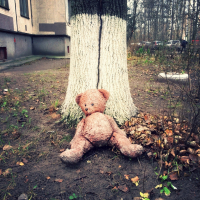 Игрушки тоже бывают бездомными