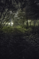 Осенний парк.