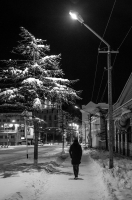 Тени ночного города