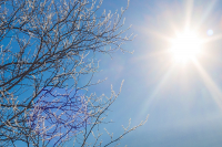 Вспоминая морозную весну