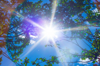 Лето, солнце :)