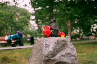 кошачьи глазки