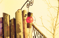 на смотровой