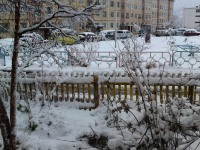 А я тоже хочу показать ЗИМУ!