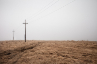 Ирония Колымы