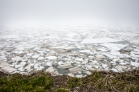 Конец весны