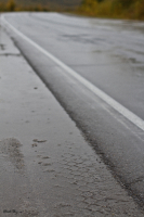 Дорога на работу..