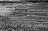 Старый заброшенный дом