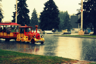 летний дождь...