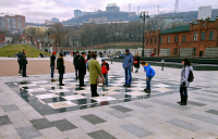 Живые шашки