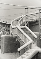 Когда летящие снега ласкают старые ступени...