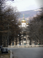 взгляд из парка