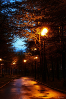 После дождя