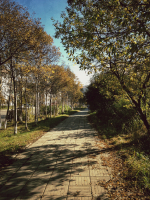 Осень пришла