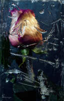 С НОВЫМ ГОДОМ!!!