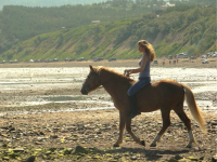 наездница...