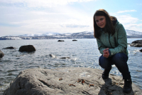 солнечный день