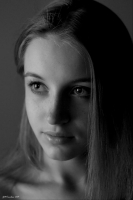 без названия