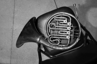 Повесил свой сюртук...