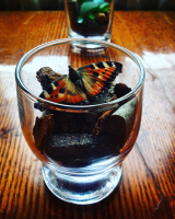 A piece of nature in a glass